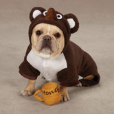 Lil' Honey Bear Dog Costume in Brown