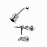 Tub and Diverter Shower Faucet