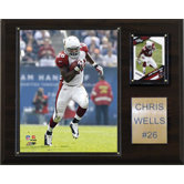 NFL Player Plaque