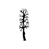 Spot Combtree Wall Decal in Black