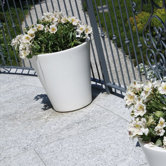 New Pot Planter