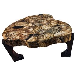 Good Form Petrified Coffee Table in Natural