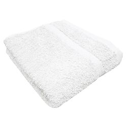 Terry Hand Towel in White (Set of 2)