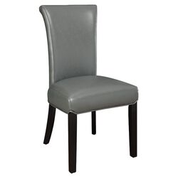 Newcastle Side Chair in Metal (Set of 2)