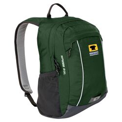 Wazee 20 Backpack in Evergreen