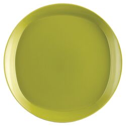 Rachael Ray Round & Square Dinner Plate in Green (Set of 4)