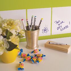 Dry Erase Peel & Stick Decal in White (Set of 4)