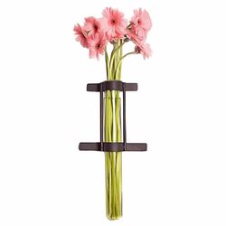 Clear Cylinder Wall Vase & Frame in Rustic (Set of 2)