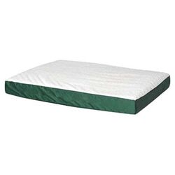 Thick Orthopedic Dog Bed in Green