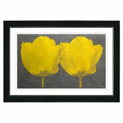 Twin Tulips Framed Fine Art Giclee Print by Zhee Singer in Black & Yellow