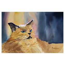 Fat Cat Canvas Art by Ryan Radke