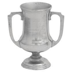 Metallic Trophy Vase in Silver