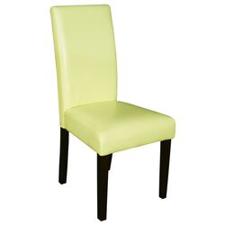 Villa Parsons Chair in Light Green (Set of 2)