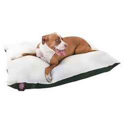 Rectangular Pillow Dog Bed in Green
