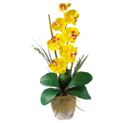 Phalaenopsis Silk Orchid Arrangement in Yellow