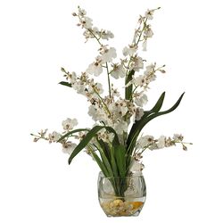 Dancing Lady Silk Orchid Plant in White