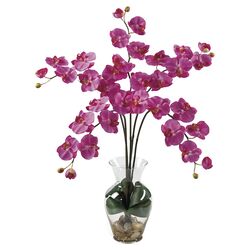 Silk Phalaenopsis Orchid Arrangement in Pink