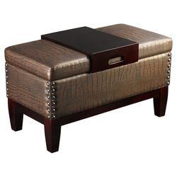 Benjamin Storage Bench in Brown