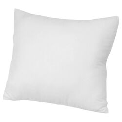 Oversized Euro Pillow in White (Set of 2)