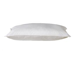 Down Alternative Pillow in White (Set of 2)