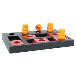 Chess Dog Activity Game in Black