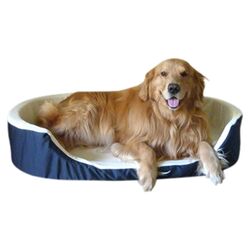 Lounger Orthopedic Dog Bed in Blue