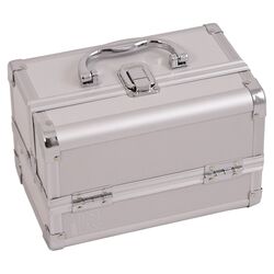 Cosmetic Makeup Train Case in Silver