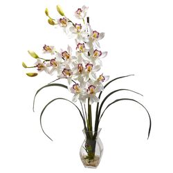 Cymbidium Orchid Arrangement in White