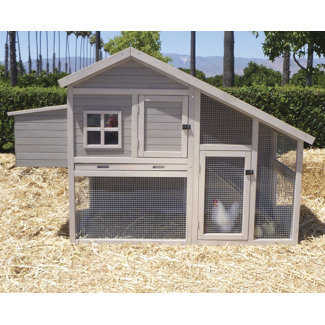 Precision Pet Products Extreme Cape Cod Chicken Coop with Nesting Box and Roosting Bar