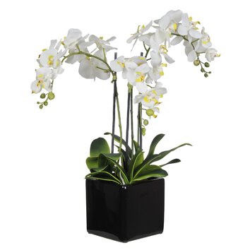 arrangement orchid silk phalaenopsis vase artificial flowers stem triple cube ceramic wayfair glass nearly natural orchids