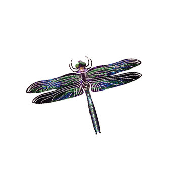 Next Innovations Refraxions Dragonfly D Wall Art Jpg Next Innovations Refraxions Dragonfly D Wall Art Jpg