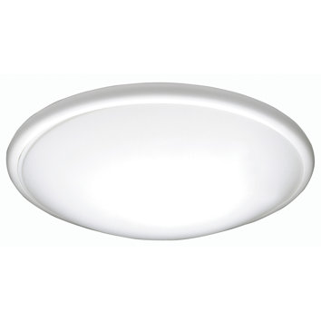 AFX 21" 2 Light Flush Mount