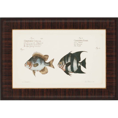 Paragon Antique Fish by Bloch Waterfront Art (Set of 4) - 19" x 27"