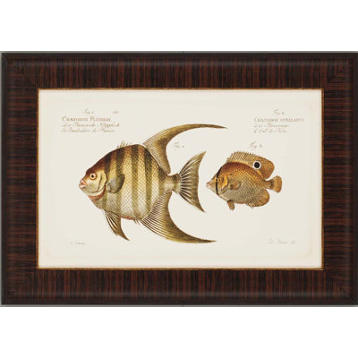 Paragon Antique Fish by Bloch Waterfront Art (Set of 4) - 19" x 27"