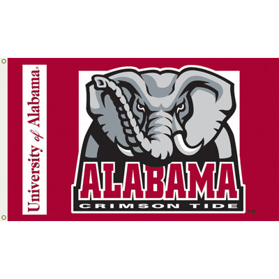 BSI Products NCAA Traditional Flag