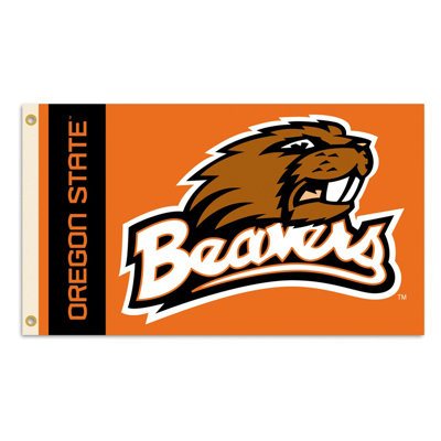 BSI Products NCAA Traditional Flag