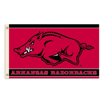 BSI Products NCAA Traditional Flag