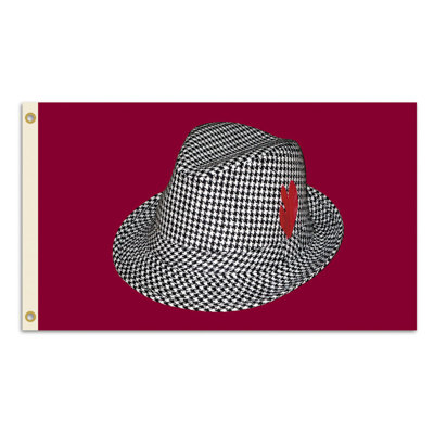 BSI Products NCAA Traditional Flag
