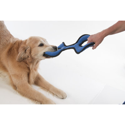 Tuff Enuff Tug Dog Toy