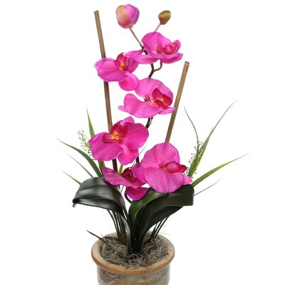 Nearly Natural Phalaenopsis Silk Orchid With Ceramic Pot & Reviews ...