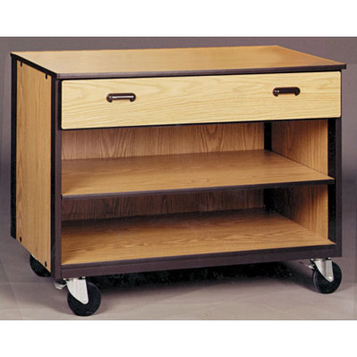 Ironwood 2000 Series Low Storage Mobile Cabinet