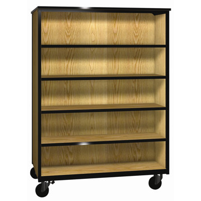 Ironwood 1000 Series Combo Mobile Cabinet