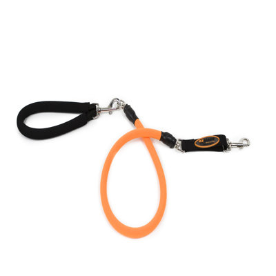Bergan Pet Products Low Impact Dog Leash