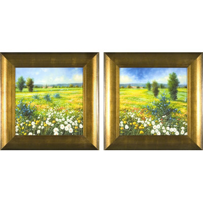 Phoenix Galleries Summer Meadow Framed Prints