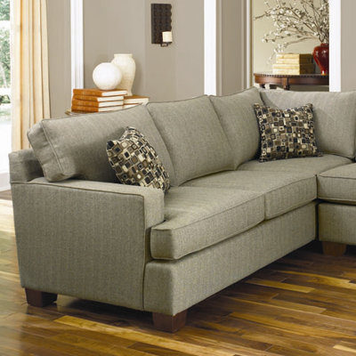 Charles Schneider Furniture Anderoso 2 Piece Sectional Sofa