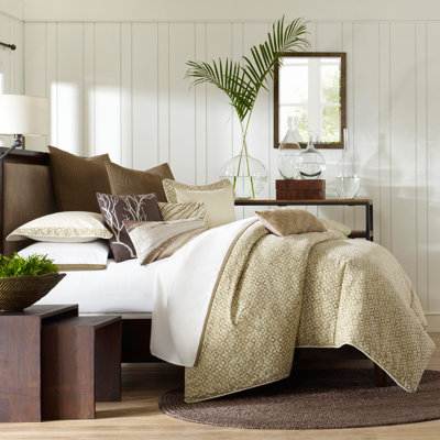 Tao Terra Decorative Pillow in Brown