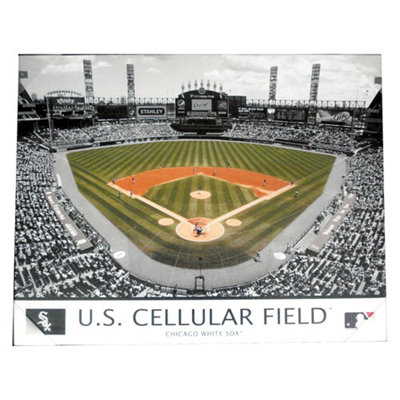 Artissimo Designs MLB Stadium Canvas Wall Art