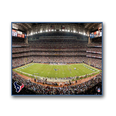 Artissimo Designs NFL Stadium Canvas Art