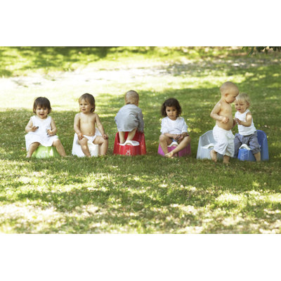 BabyBjorn Potty Chair