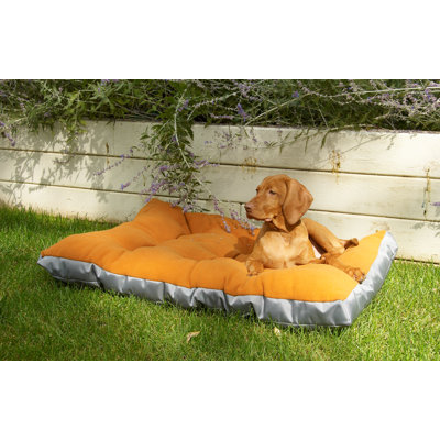 Bowsers Futon Dog Bed